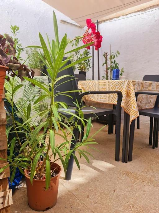Estancia De Ensueno Y Relax Parking Gratuito Granada Exterior foto